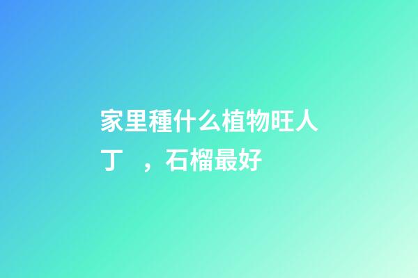 家里種什么植物旺人丁，石榴最好
